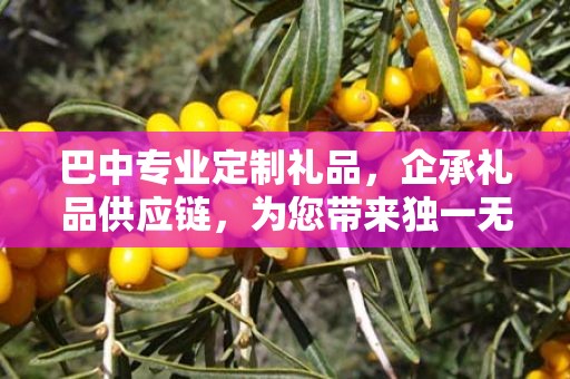 巴中专业定制礼品，企承礼品供应链，为您带来独一无二的礼品体验