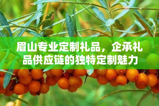 眉山专业定制礼品，企承礼品供应链的独特定制魅力