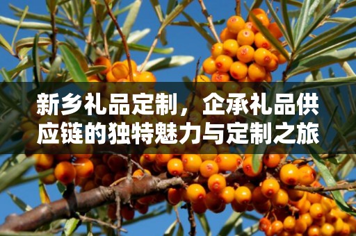 新乡礼品定制，企承礼品供应链的独特魅力与定制之旅